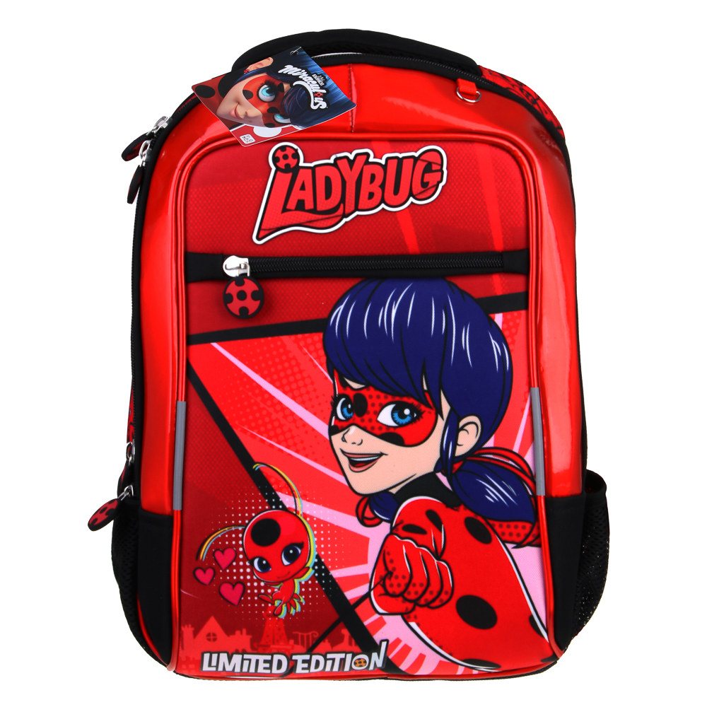 Ледибаг Рюкзак шк.жесткий, 39х30х15см, 2 отд., 3 карм., эргон.спинка, ручка, вес около 900гр, "Кор", арт.№ 811-001