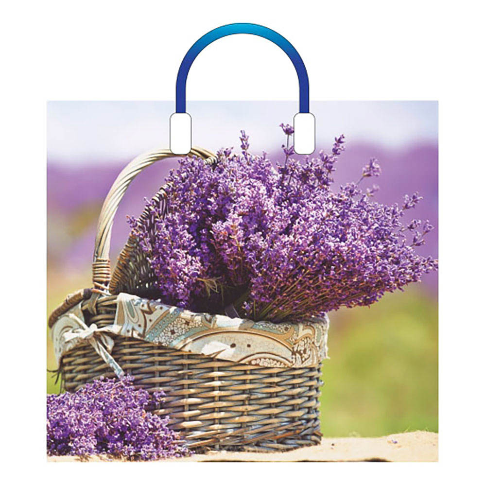 Пакет "Корзинка нежности" ПЭ с пластмассовыми ручками 38х34см, арт.№ 568-288