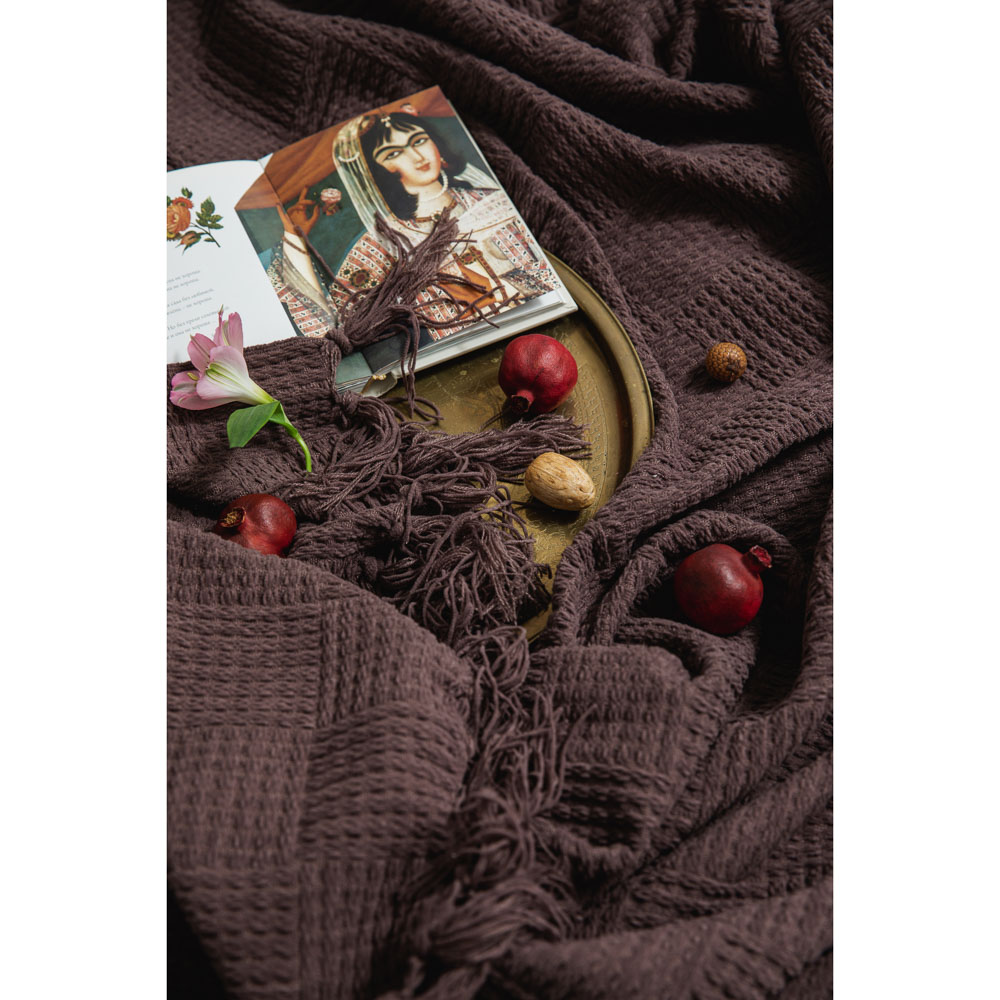 PROVANCE Мятный Латте Плед вязанный с кисточками 130х170см, 85% полиэстер 15% акрил, 3 цвета, арт.№ 488-035