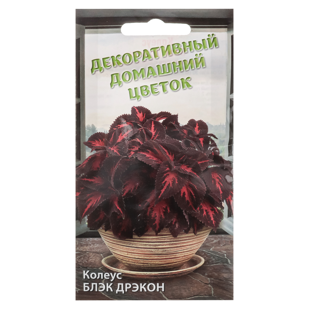 Семена Колеус Блэк Дрэкон 5шт, комнатные цветы, арт.№ 179-394