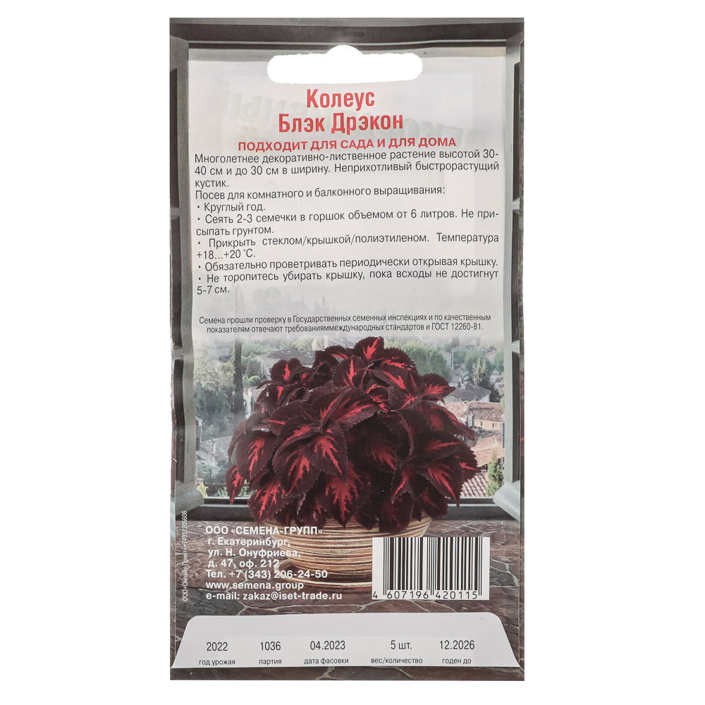 Семена Колеус Блэк Дрэкон 5шт, комнатные цветы, арт.№ 179-394