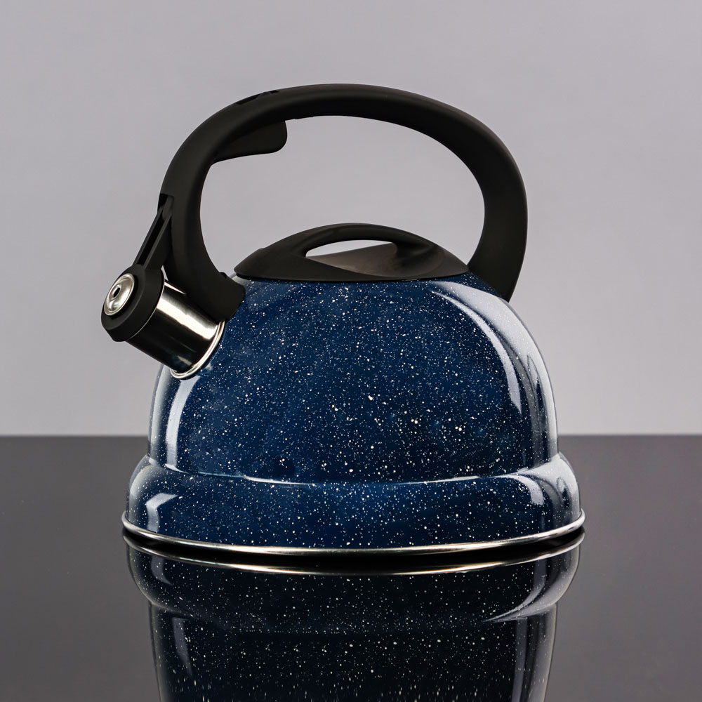 VETTA Чайник стальной 2.5л "Сезан", индукция, 4 цвета, арт.№ 847-094