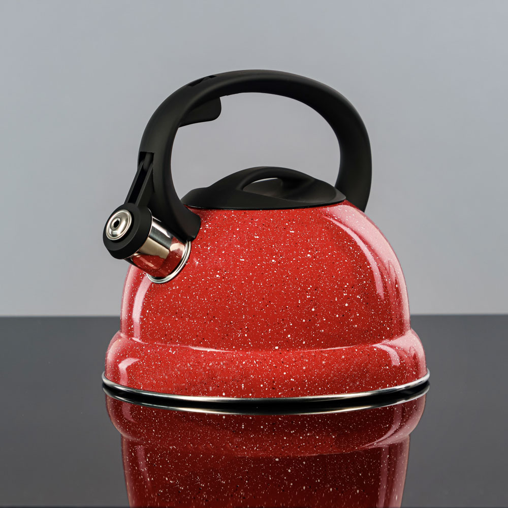 VETTA Чайник стальной 2.5л "Сезан", индукция, 4 цвета, арт.№ 847-094