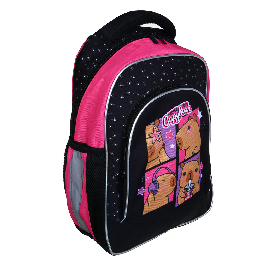 Рюкзак школьный 39х30х22 см Капибара FLOMIK, 1 отд., 1 передний, 2 бок.карм., эрг.спинка, упл.лямки, арт.№ 524-237