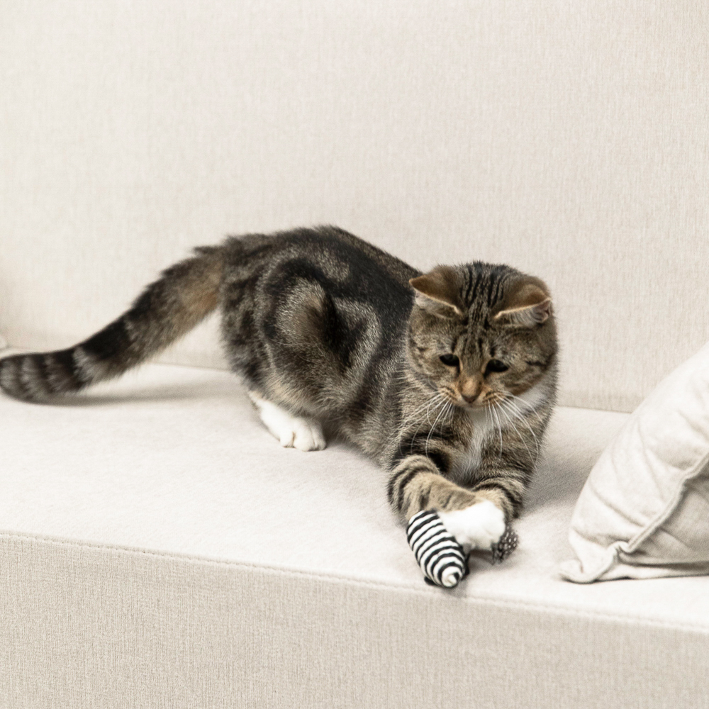 VETTA Игрушка для домашних животных, пластмасса, 7х3 см, арт.№ 273-037