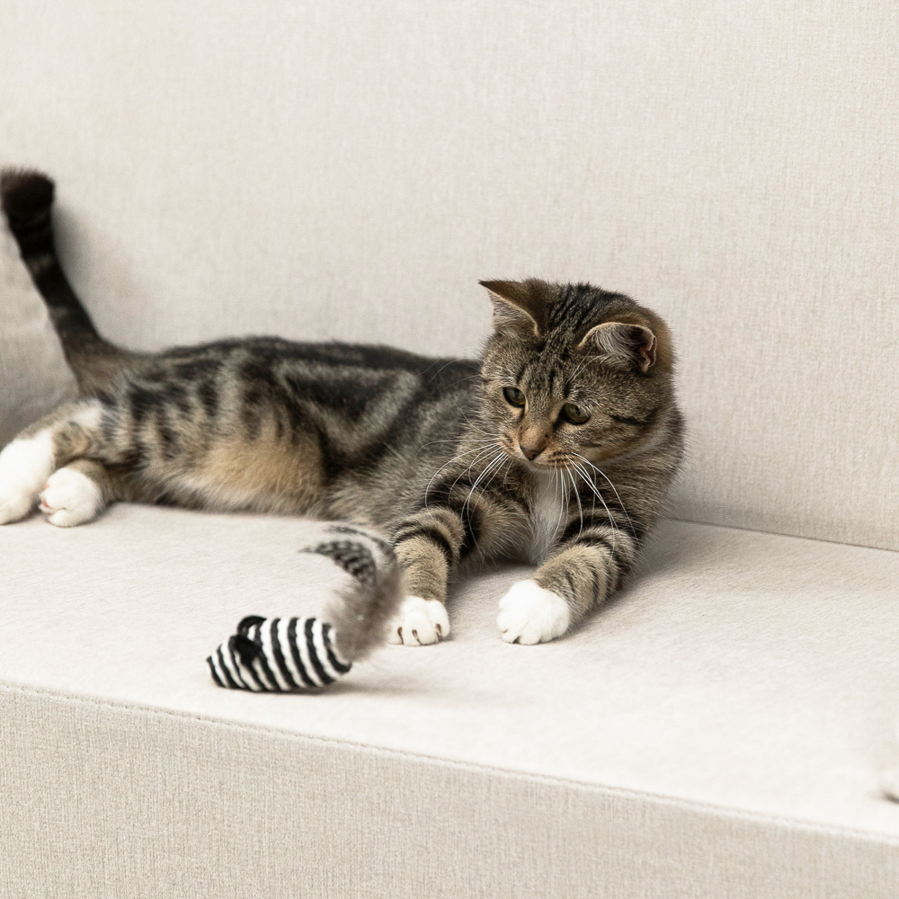 VETTA Игрушка для домашних животных, пластмасса, 7х3 см, арт.№ 273-037