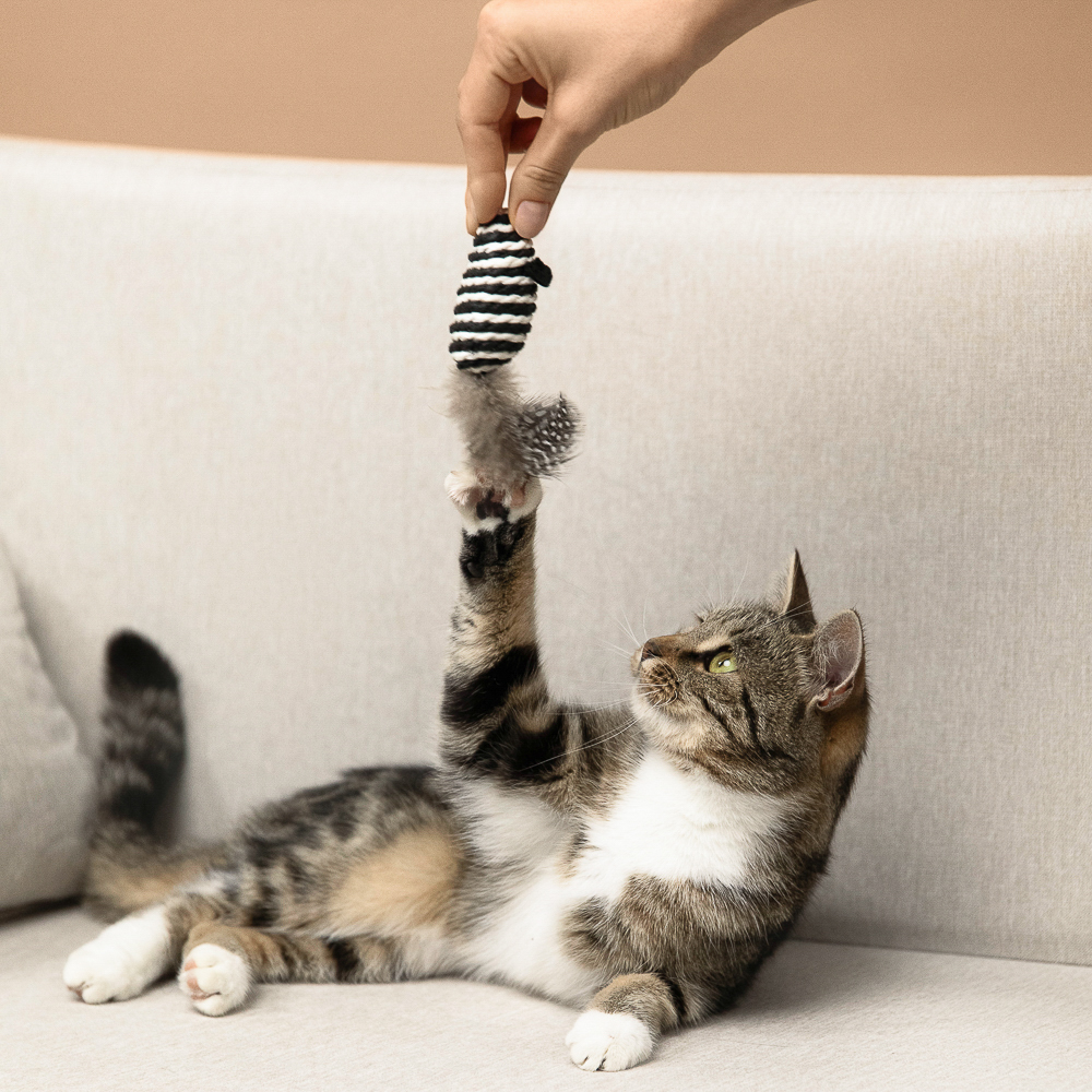 VETTA Игрушка для домашних животных, пластмасса, 7х3 см, арт.№ 273-037