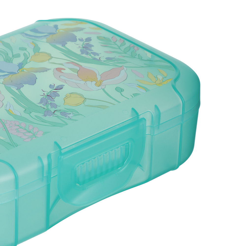 Ботаника Ланч-бокс 0,85л (18х12,5х5,5см), пластик, в ассортименте, арт.№ 861-564