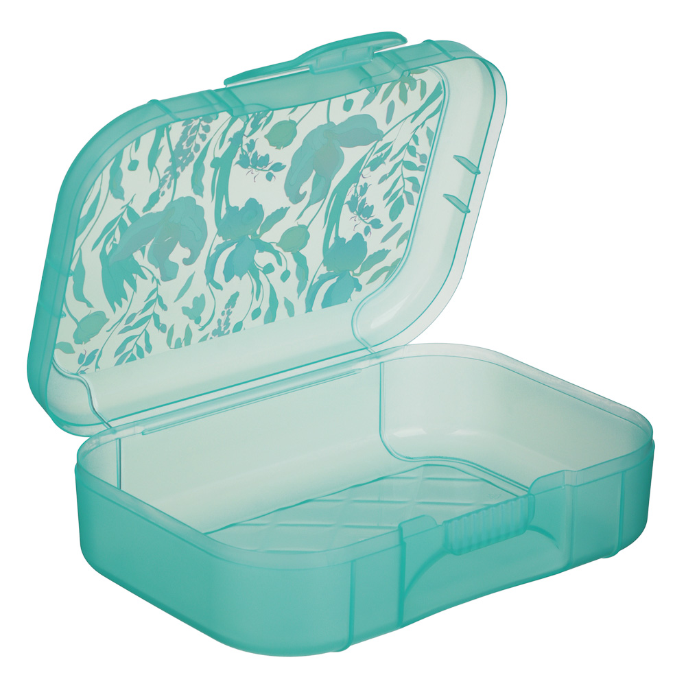 Ботаника Ланч-бокс 0,85л (18х12,5х5,5см), пластик, в ассортименте, арт.№ 861-564