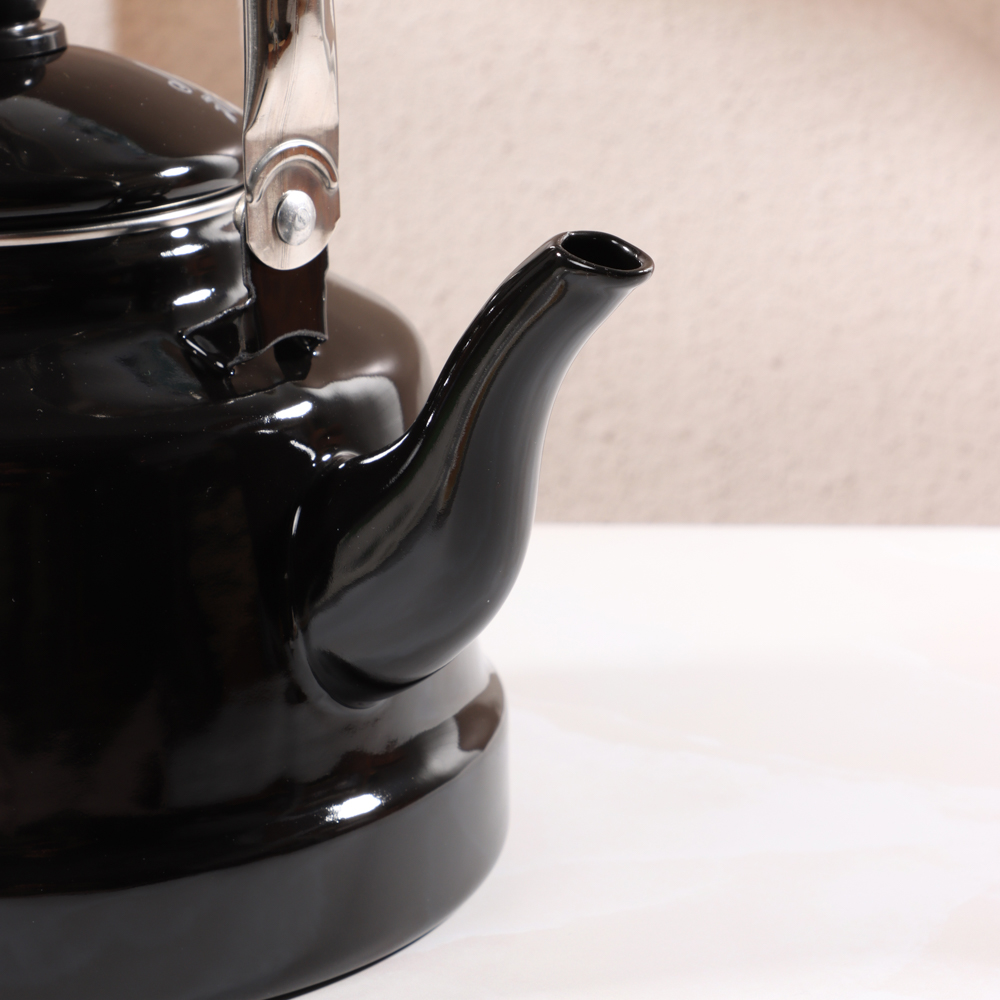 VETTA Ранчо Чайник эмалированный 2,5 л, 3 дизайна, индукция, арт.№ 894-485