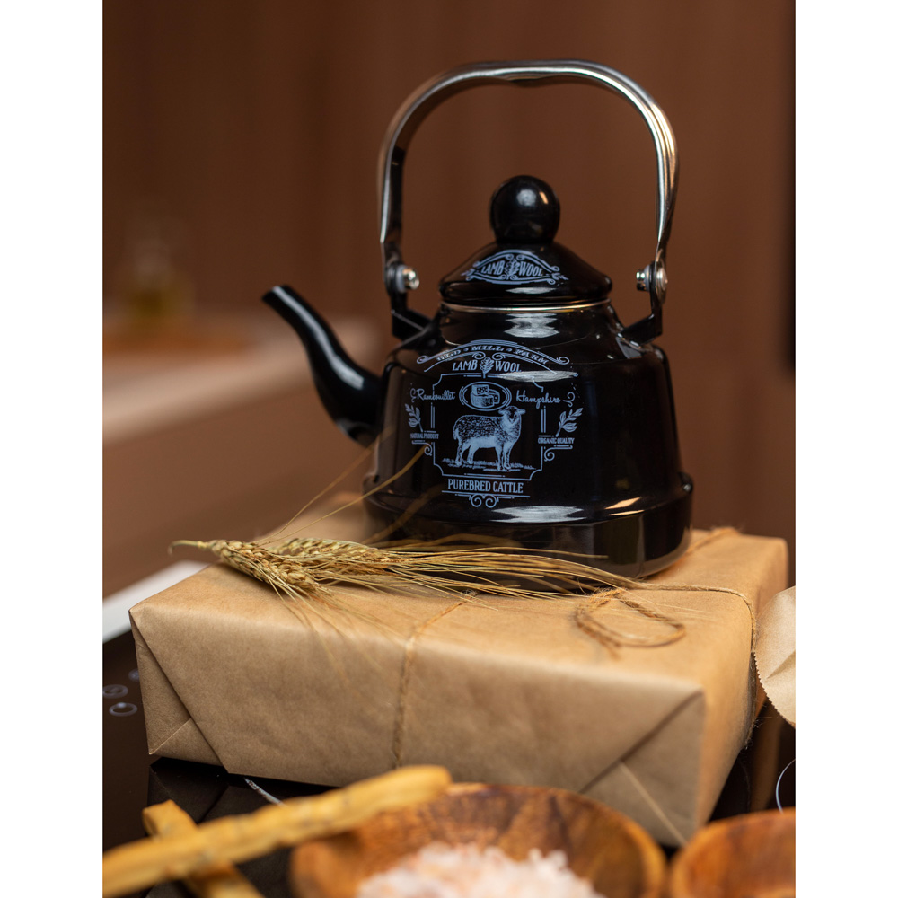 VETTA Ранчо Чайник эмалированный 2,5 л, 3 дизайна, индукция, арт.№ 894-485