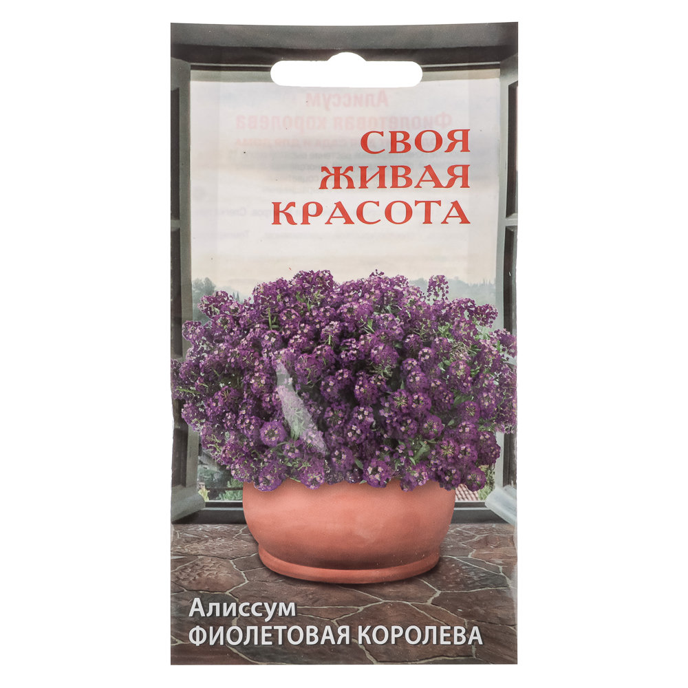 Семена Алиссум Фиолетовая королева до 15см 5шт, арт.№ 179-384