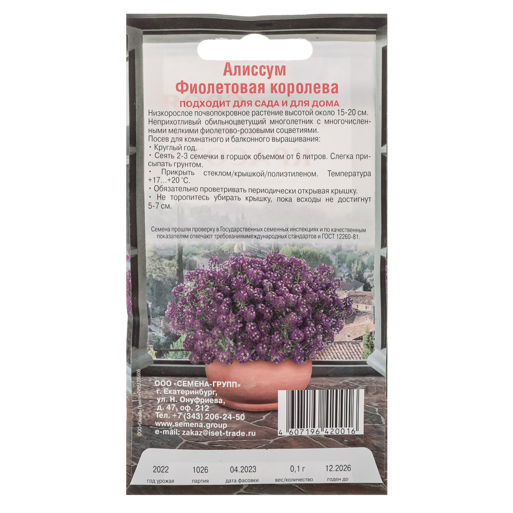 Семена Алиссум Фиолетовая королева до 15см 5шт, арт.№ 179-384