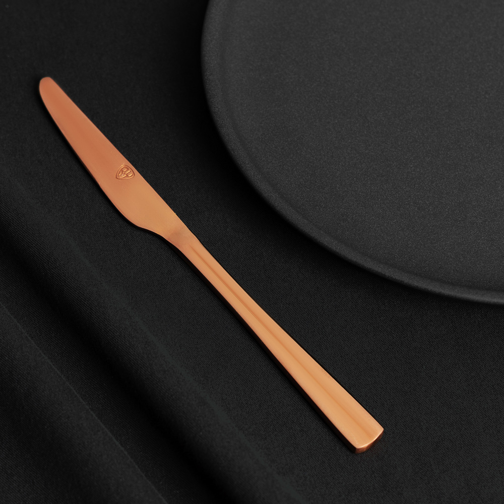 BY COLLECTION Ларре Нож столовый, 1 пр. на блистере, нерж.сталь 18/10 (white line), арт.№ 815-408