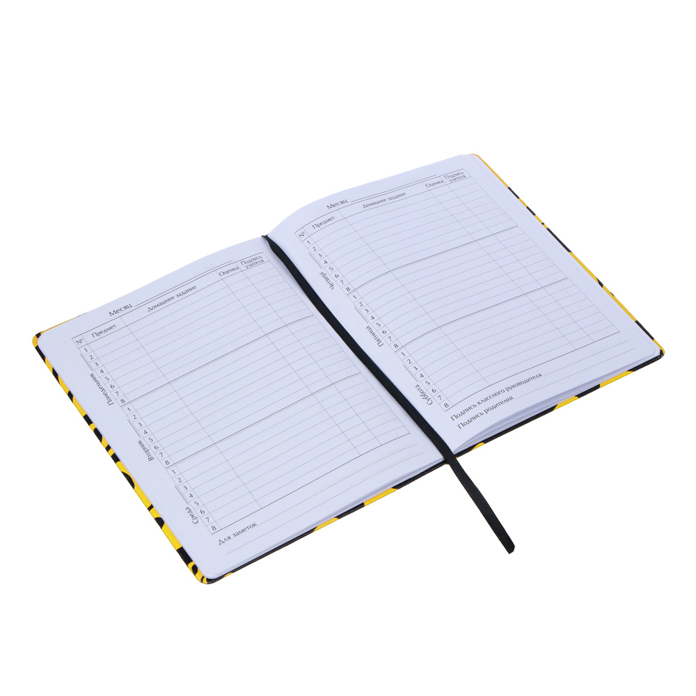 Дневник школьный 48 листов формат А5+ BY "Искаженные смайлы", 20,8х16,5 см, твердая обложка искусственная кожа, с цветной печатью, закладка, арт.№ 564-034