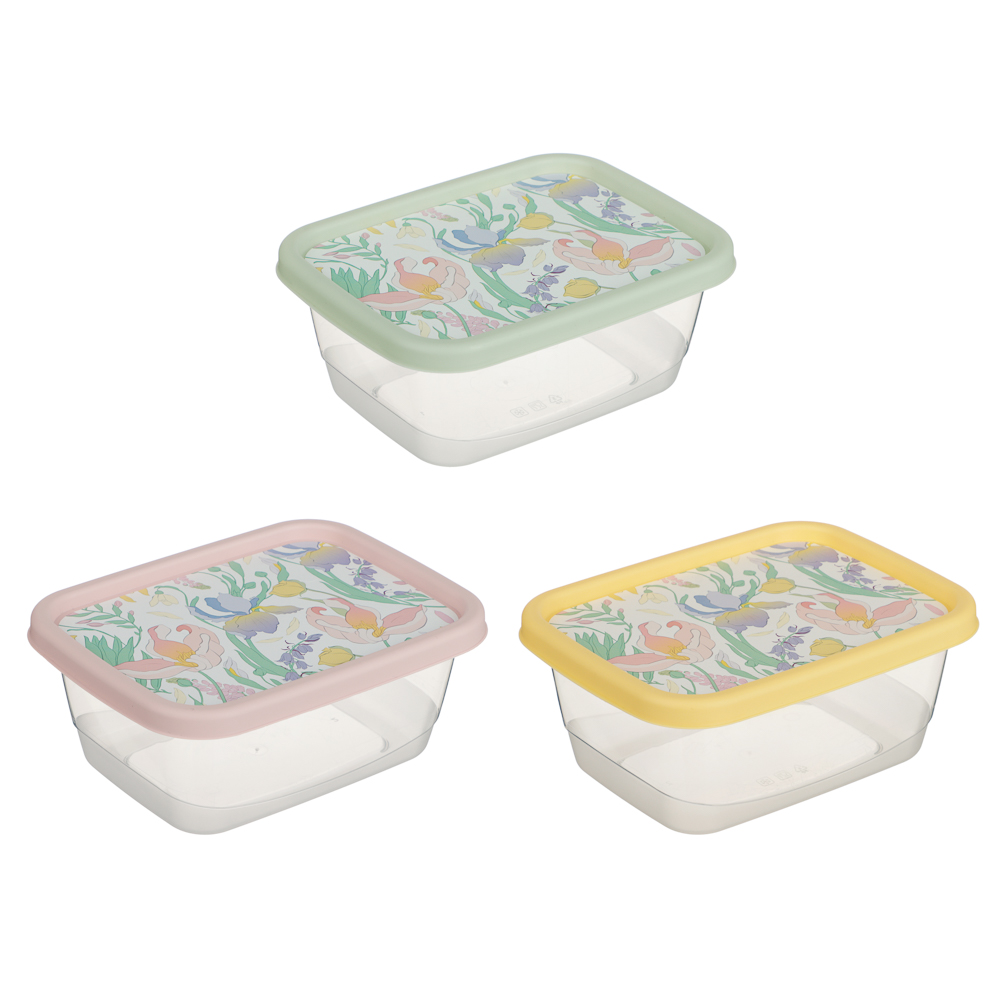 Ботаника Контейнер для продуктов прямоугольный 0,5л, пластик, 3 цвета, арт.№ 861-567