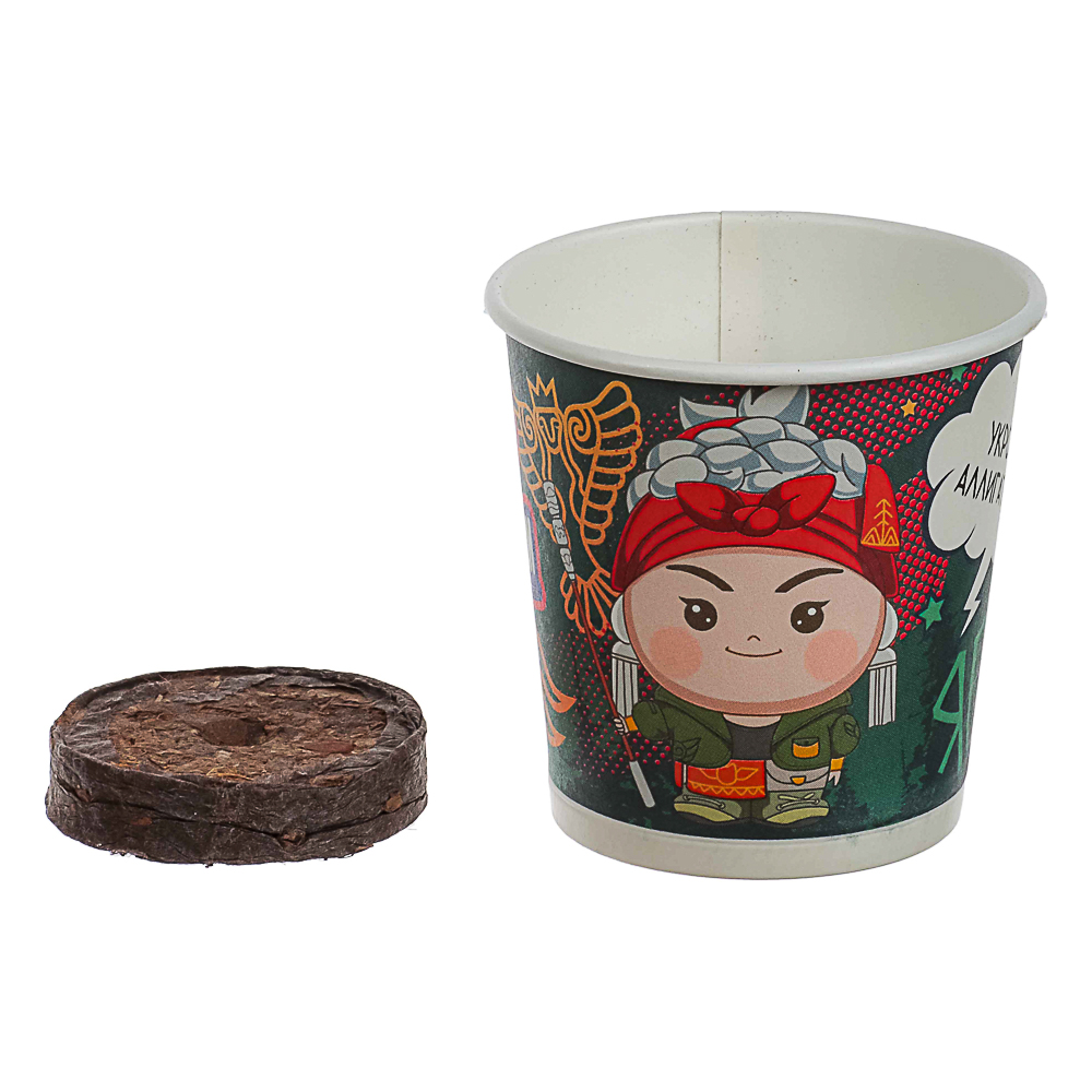 BY Русские Супергерои ЯГА Укроп Аллигатор (стаканчик+торф табл+семена), арт.№ 179-598