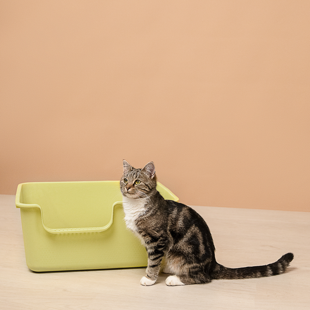 VETTA Лоток для домашних животных, пластмасса, 50х38,5х21,5 см, арт.№ 273-226