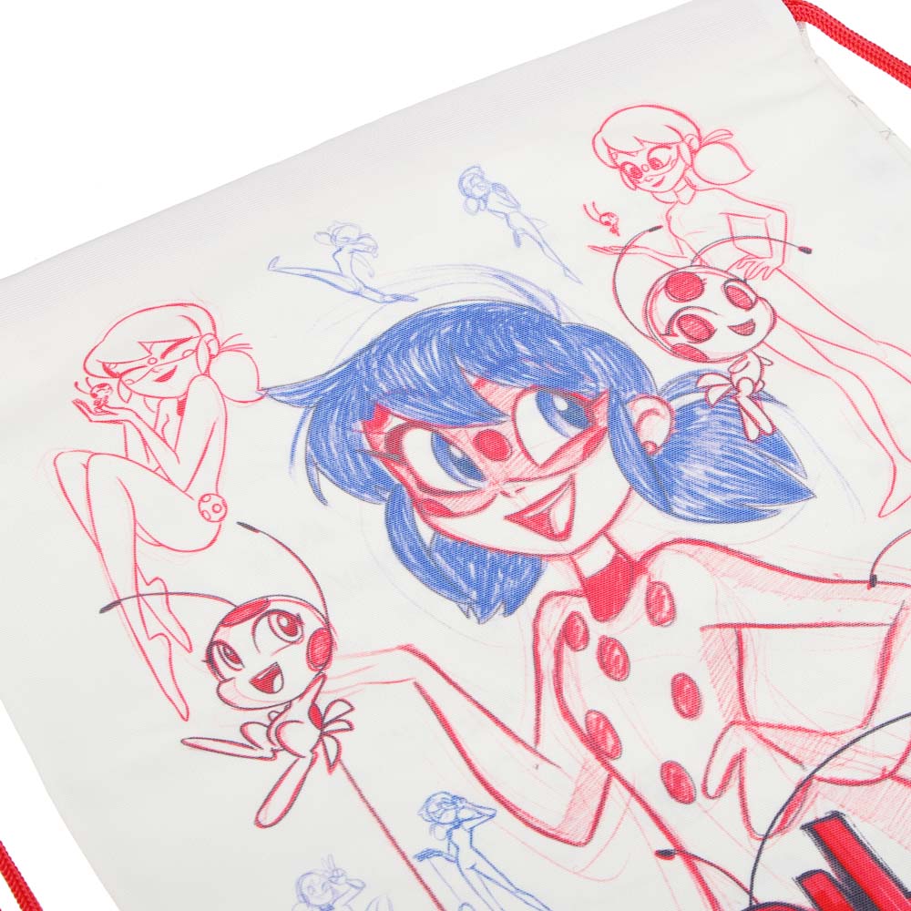 Ледибаг Мешок для обуви ПРЕМИУМ, 47х39см, плотный матер., 2-сторон., толстая веревка, "Скетч", арт.№ 811-027