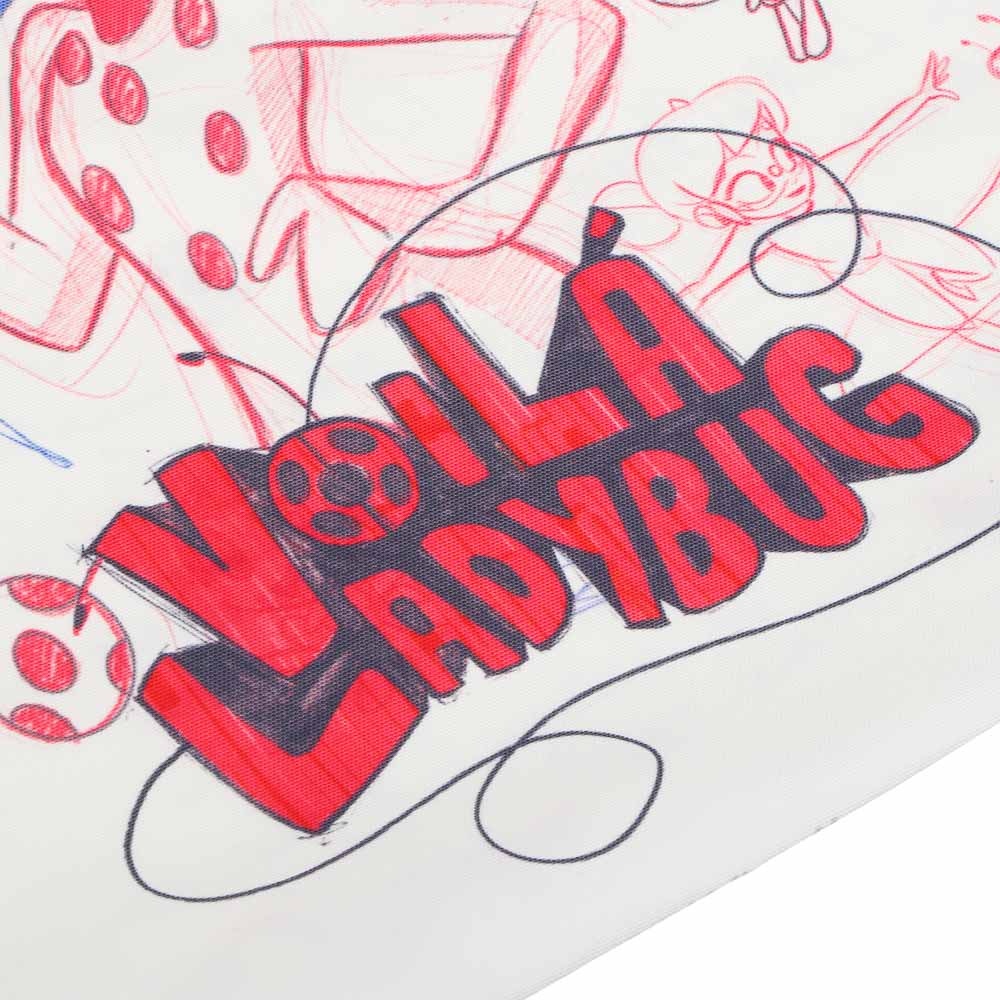 Ледибаг Мешок для обуви ПРЕМИУМ, 47х39см, плотный матер., 2-сторон., толстая веревка, "Скетч", арт.№ 811-027