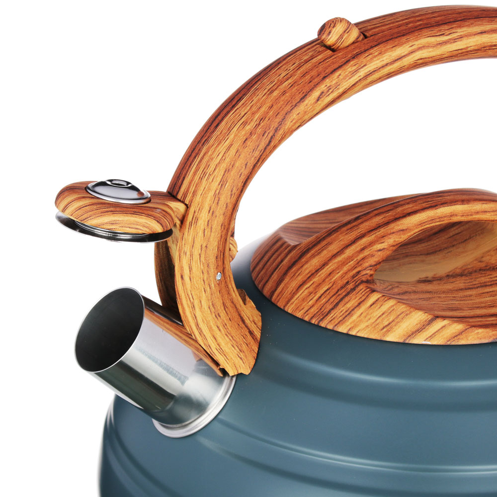 VETTA Чайник стальной 3.0л "Бенуа", индукция, арт.№ 847-093