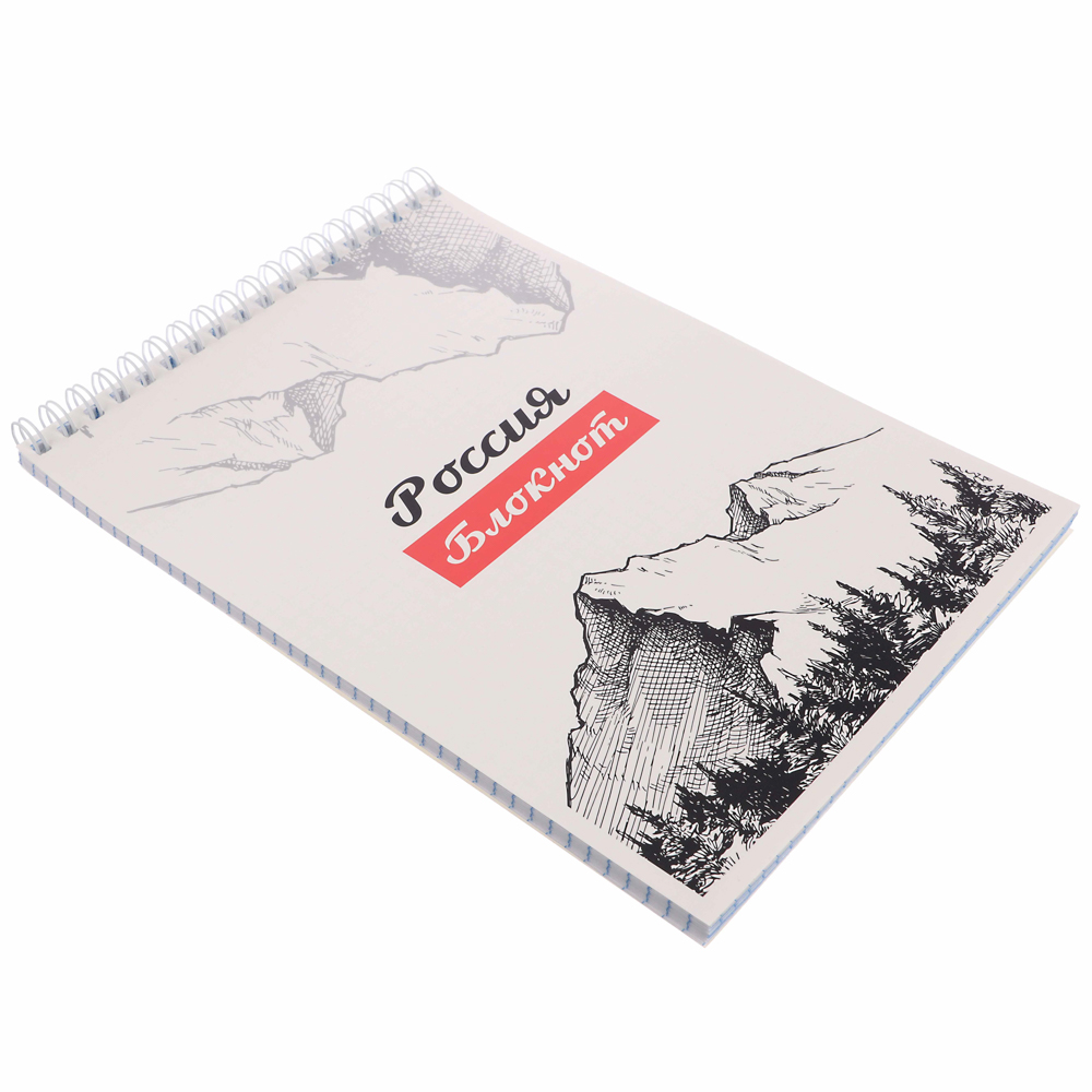 Блокнот А5, 40 листов в клетку ClipStudio, офсет, обложка картон, спираль,  8 дизайнов, арт.№ 540-017