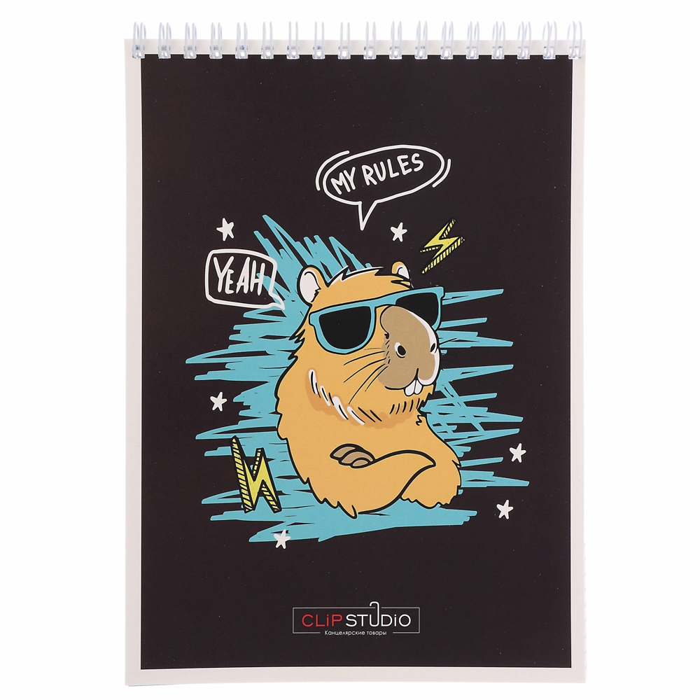 Блокнот А5, 40 листов в клетку ClipStudio, офсет, обложка картон, спираль,  8 дизайнов, арт.№ 540-017