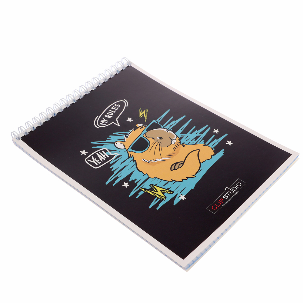 Блокнот А5, 40 листов в клетку ClipStudio, офсет, обложка картон, спираль,  8 дизайнов, арт.№ 540-017