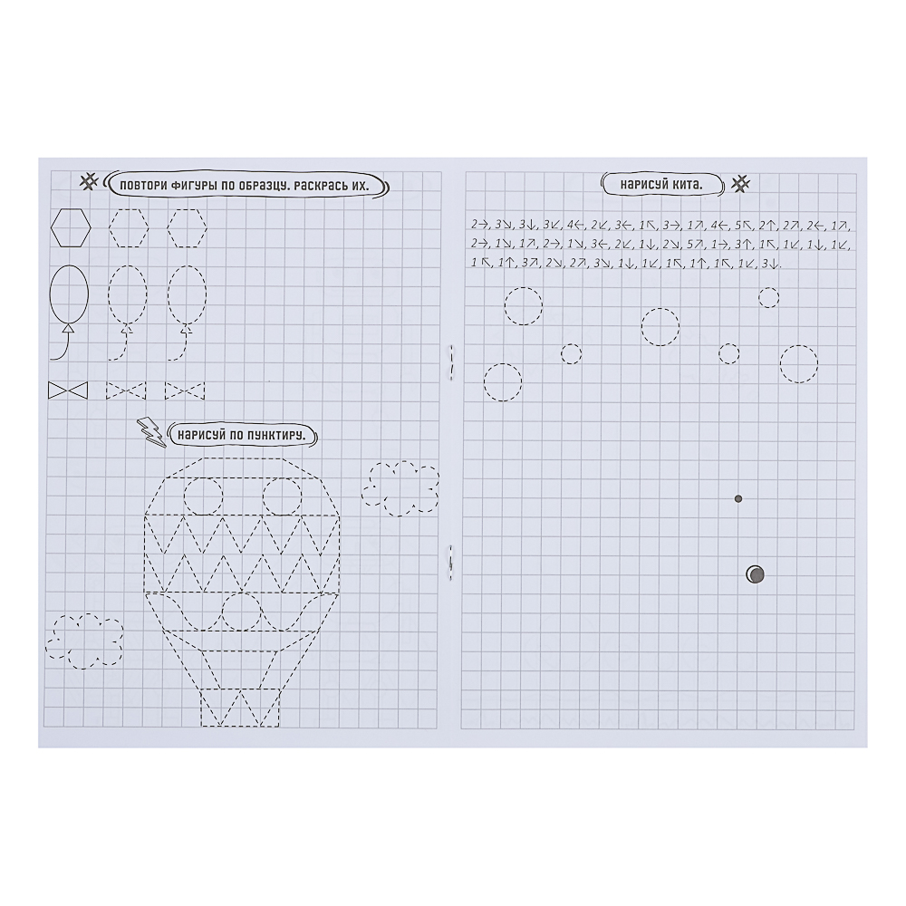 ПРОФ-ПРЕСС Книжка "Графические диктанты", 16,5x23,5см, 12 стр., 4 дизайна, арт.№ 876-094