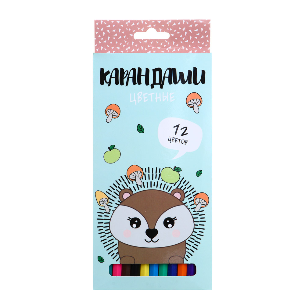 ЕЖИК Карандаши 12 цветов шестигранные заточенные, улучшенное письмо, пластик, в карт.коробке, арт.№ 228-199