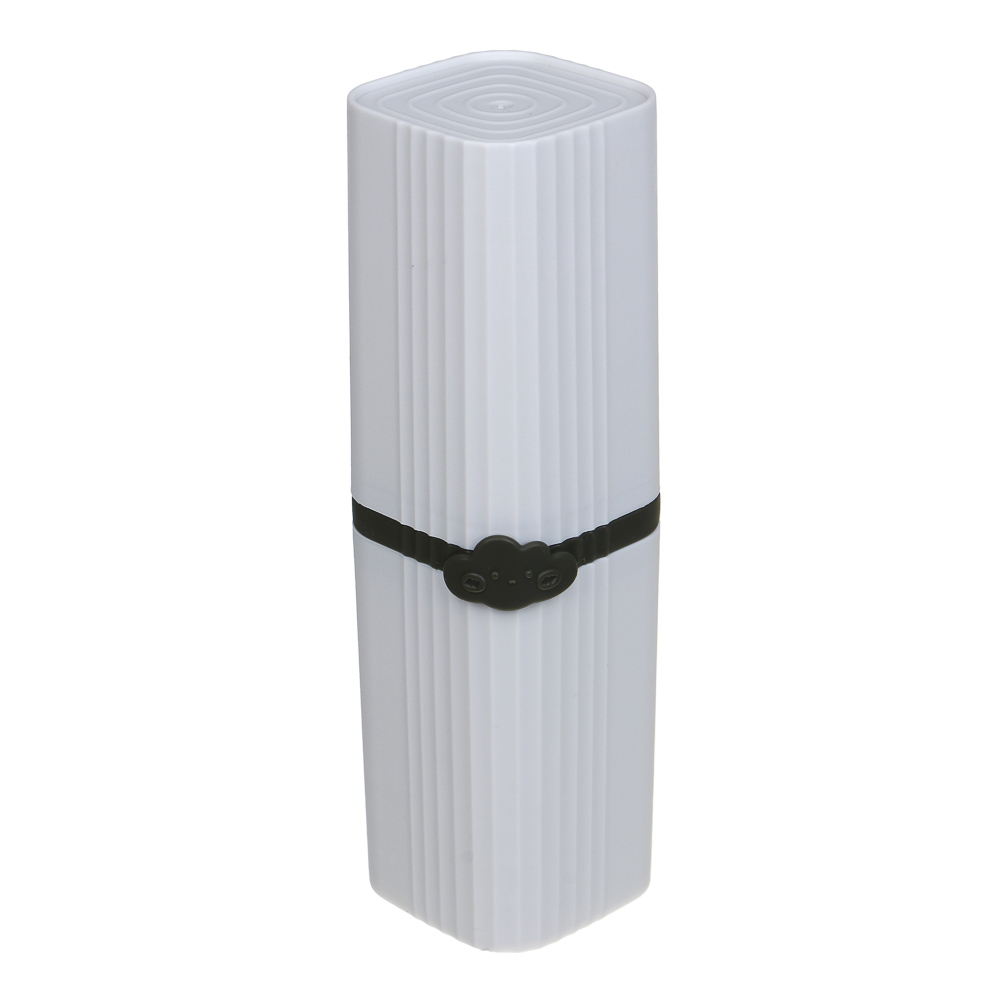 Футляр для зубных щёток и пасты, тм VETTA,19х5,5 см, арт.№ 463-524