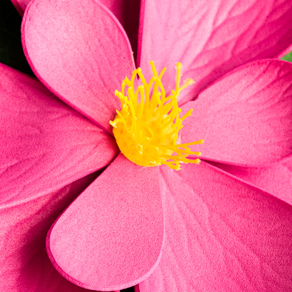 INBLOOM Магнолия декоративная для пруда, ПВХ, 15см, 4 цвета, арт.№ 171-002