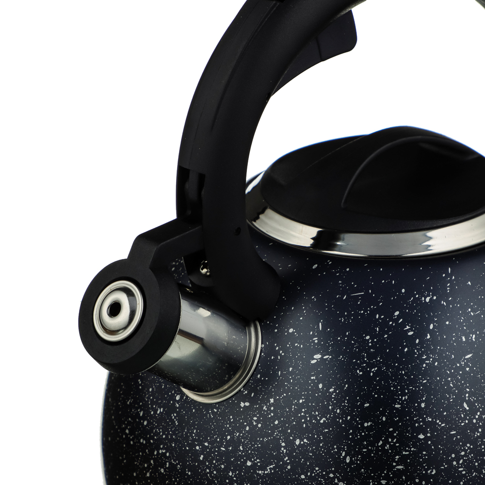 VETTA Чайник стальной 2,5л "Гаро", индукция, арт.№ 847-110