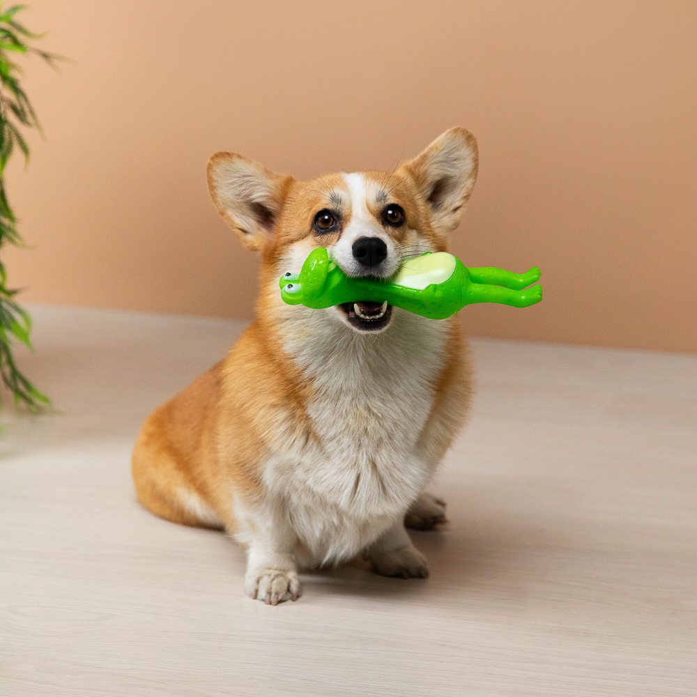 VETTA Игрушка для домашних животных, ПВХ, 23х6,5 см, лягушка, арт.№ 273-054