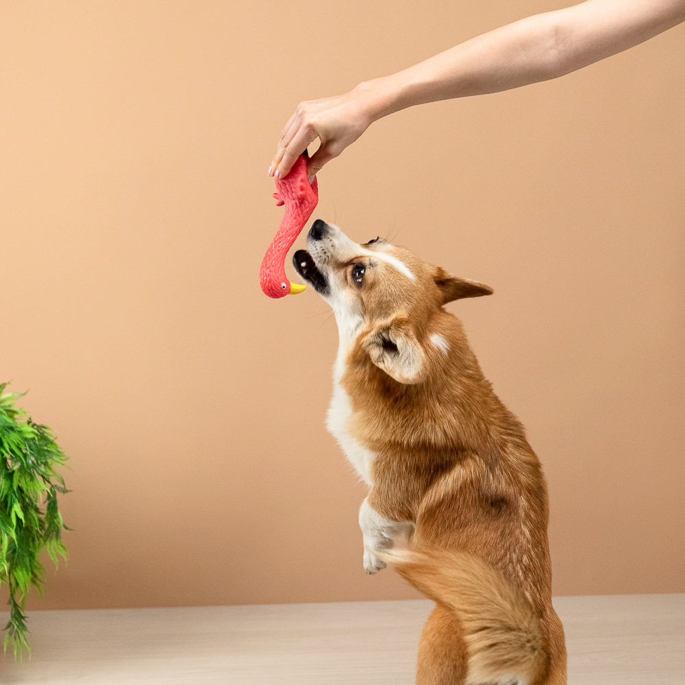 VETTA Игрушка для домашних животных, ПВХ, 24х7 см, голубь, арт.№ 273-055