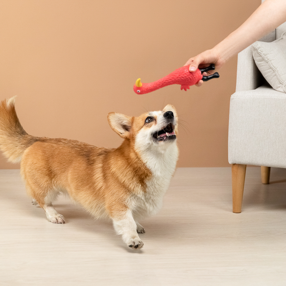 VETTA Игрушка для домашних животных, ПВХ, 24х7 см, голубь, арт.№ 273-055