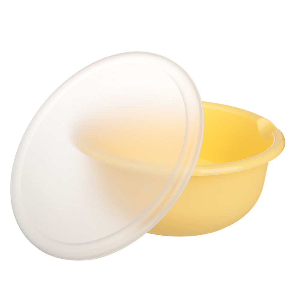 Ботаника Миска с крышкой 2,1л, пластик, 3 цвета, арт.№ 861-573