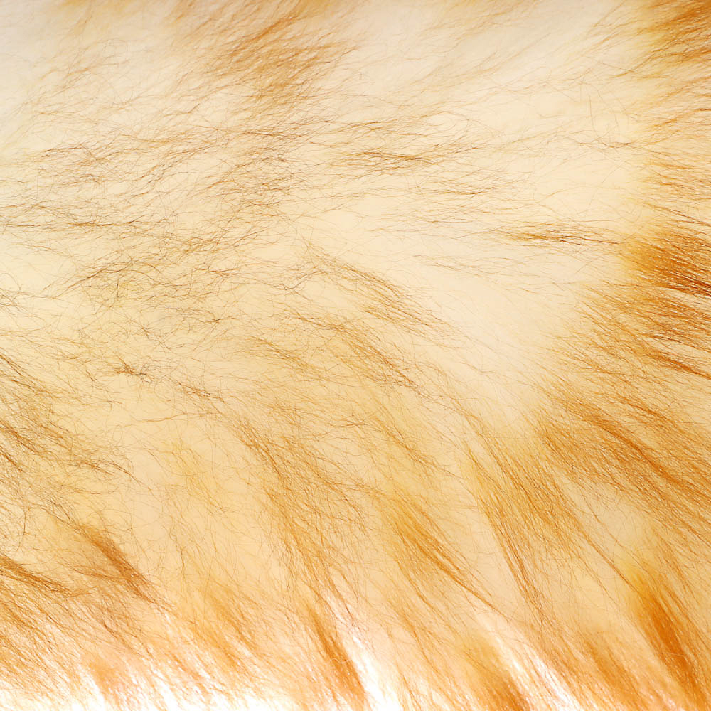 VETTA Щётка-смётка для удаления пыли, пластик, шерсть, молочный бамбук, арт.№ 445-406