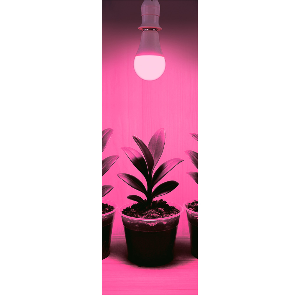 INBLOOM Лампочка для растений, 6х12см, 10LED, фиолетовый, Е27, 9Вт, PC, арт.№ 185-079