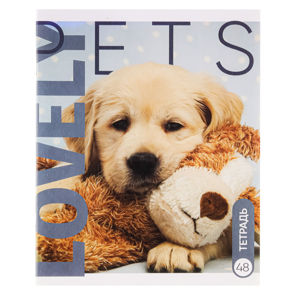 ClipStudio Тетрадь общая 48л. в клетку, БЕЛЫЕ ЛИСТЫ, обложка картон, скрепка, арт.№ 578-073