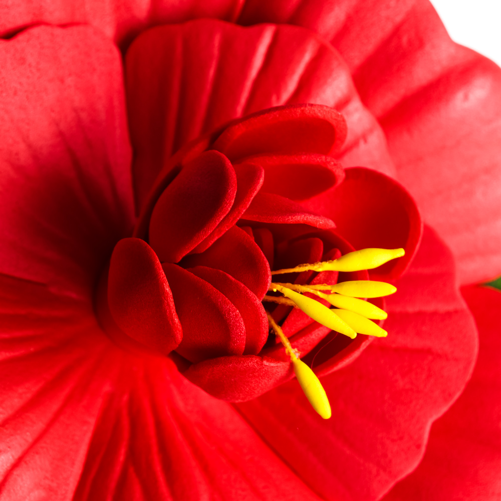 INBLOOM Роза декоративная для пруда, ПВХ, 10см, 6 цветов, арт.№ 171-001