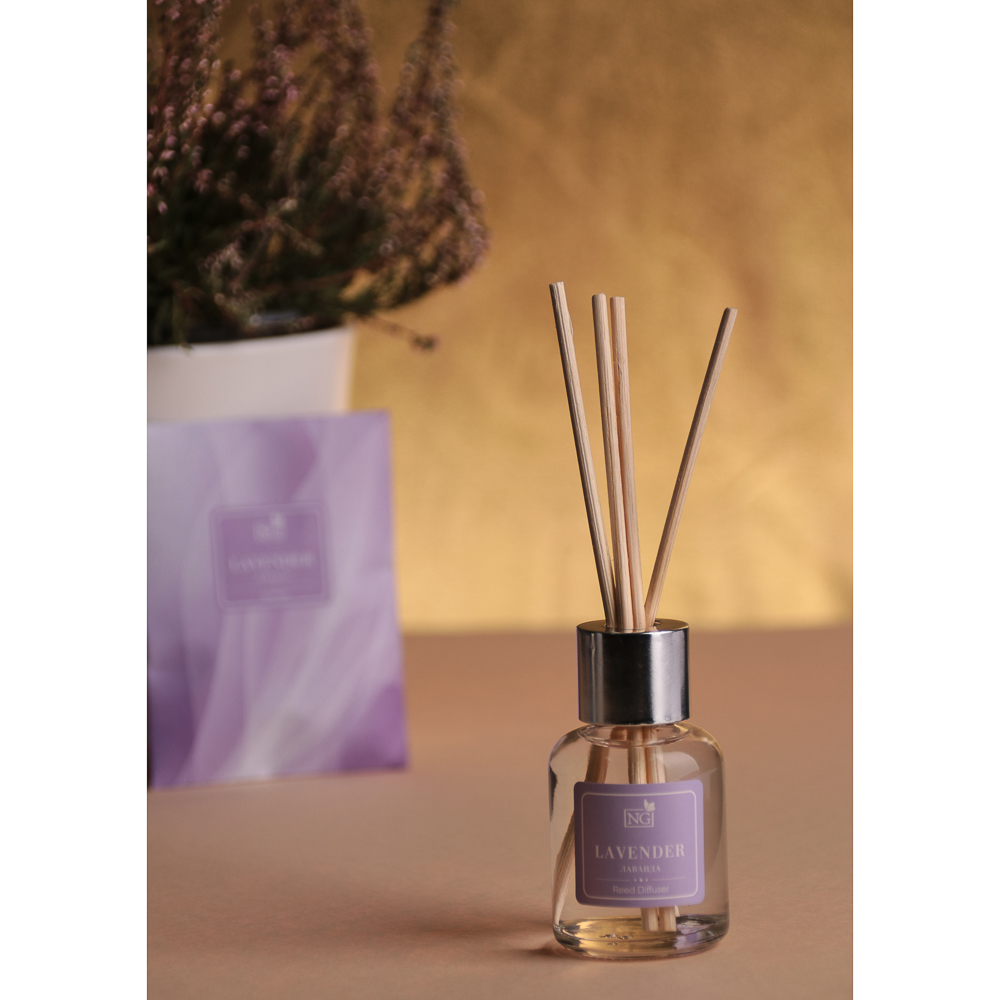 NEW GALAXY Набор ароматизатор-диффузор и саше 2шт., ваниль, райский сад, лаванда,океан 30мл, 10 г., арт.№ 778-122