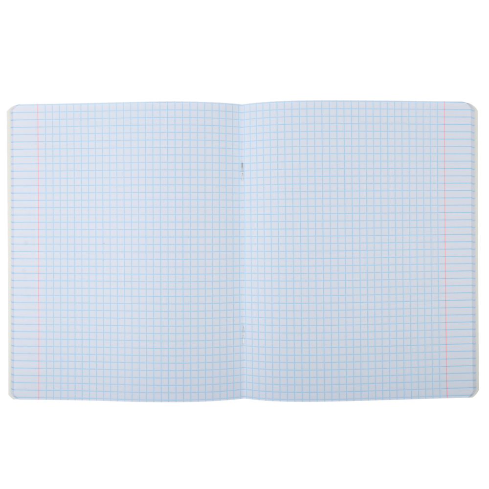 Тетрадь 48л. в кл. ПРЕМИУМ, офсет, обл.картон, скрепка, "Эмоции", двойной выб.лак, 10415, арт.№ 578-058