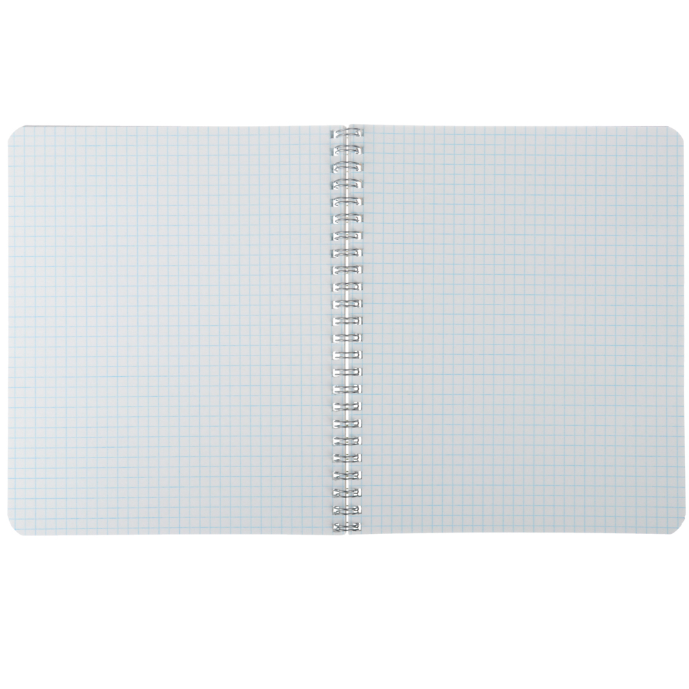 Тетрадь 48л. на спирали, в кл. ПРЕМИУМ, офсет, обл.картон, эффекты, 3 вида, 10118/8546, AP1, 10264, арт.№ 578-060