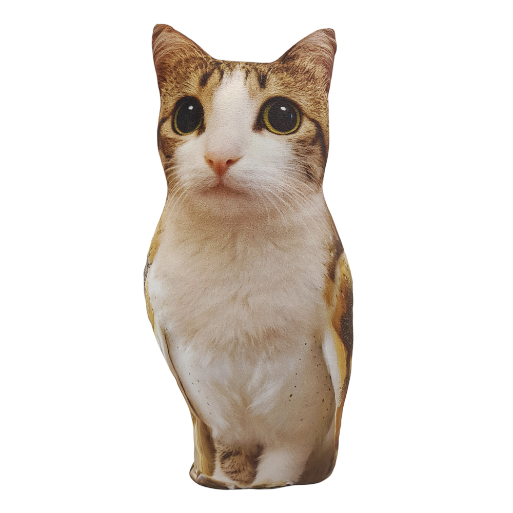 Мягкая игрушка-подушка "Мемчик", полиэстер, 24-30 см, 6 видов, арт.№ 264-539