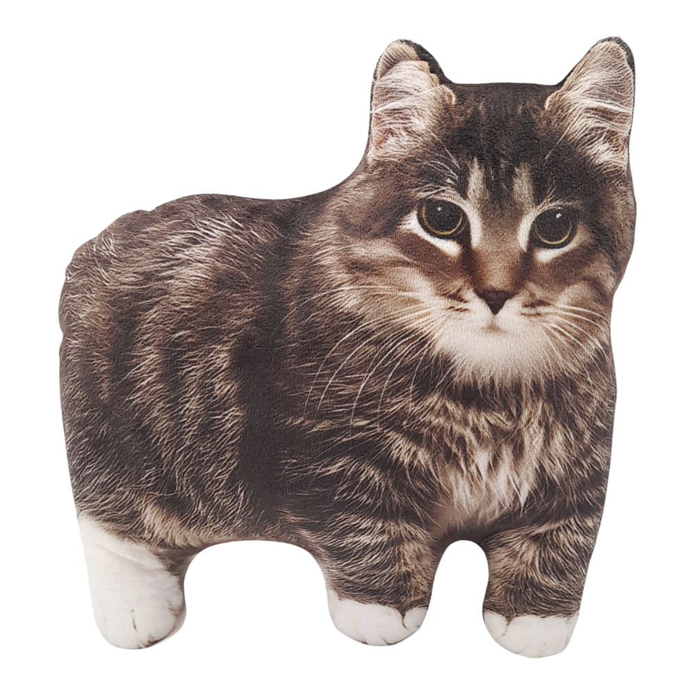 Мягкая игрушка-подушка "Мемчик", полиэстер, 24-30 см, 6 видов, арт.№ 264-539