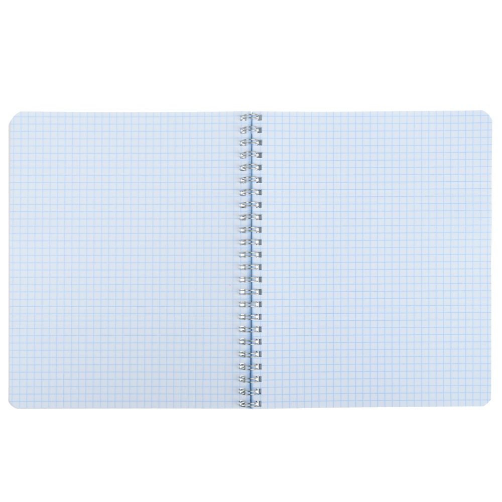 Тетрадь 80л. на спирали в кл.ПРЕМИУМ, офсет, обл.картон, "Глитч/коты, звери", лак, 10429, AP2/10135, арт.№ 578-065