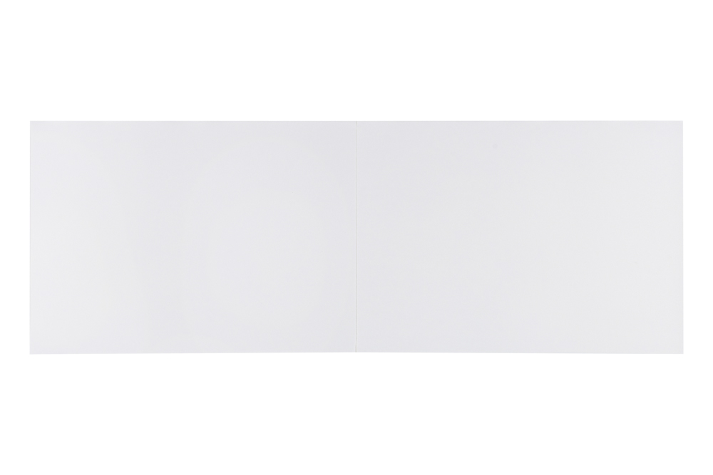 BY Русские Супергерои Альбом д/рис. А4, 40л., обл.картон, склейка, выб.лак, "Кощей/Конек Джуниор", арт.№ 801-012