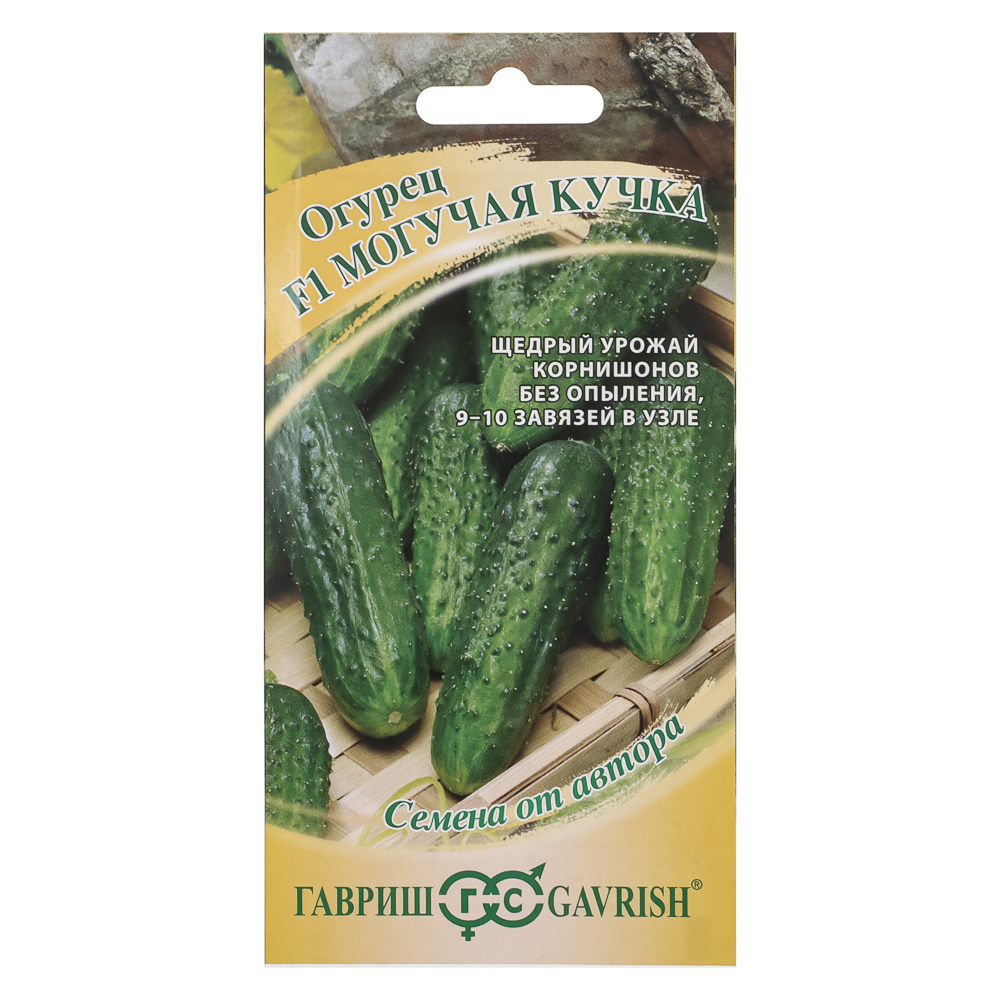 Семена Огурец Могучая кучка F1, 10 шт., Гавриш, семена от автора, арт.№ 179-404
