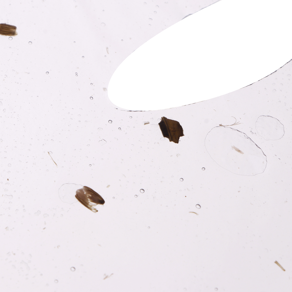 ЮНИLOOK Маска для лица гидрогелевая с лепестками лаванды, 28 гр, арт.№ 022-161